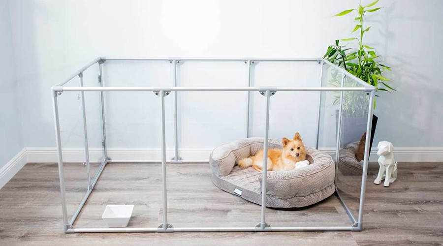 آموزش-جای-سگ