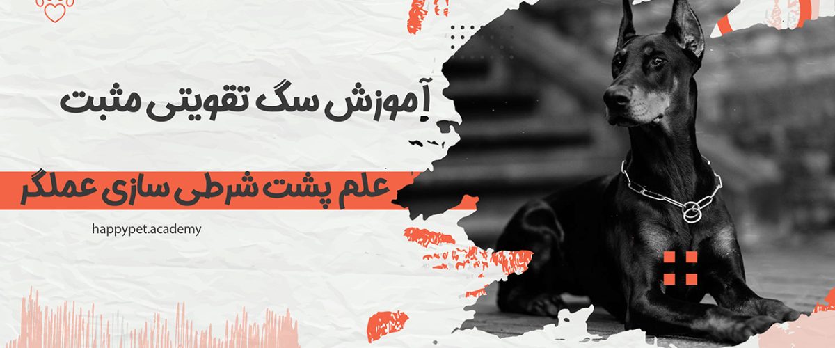 آموزش-سگ-تقویتی-مثبت