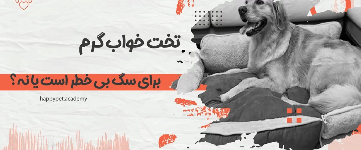 تخت خواب گرم سگ