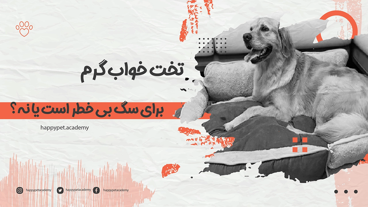 تخت-خواب-گرم-سگ