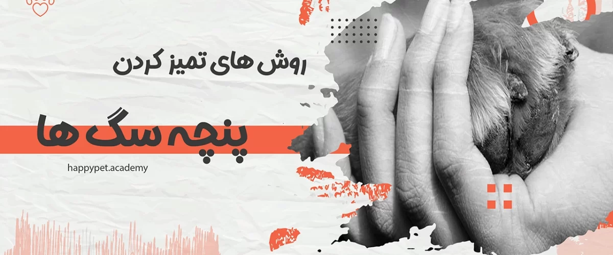 تمیز کردن پنجه سگ