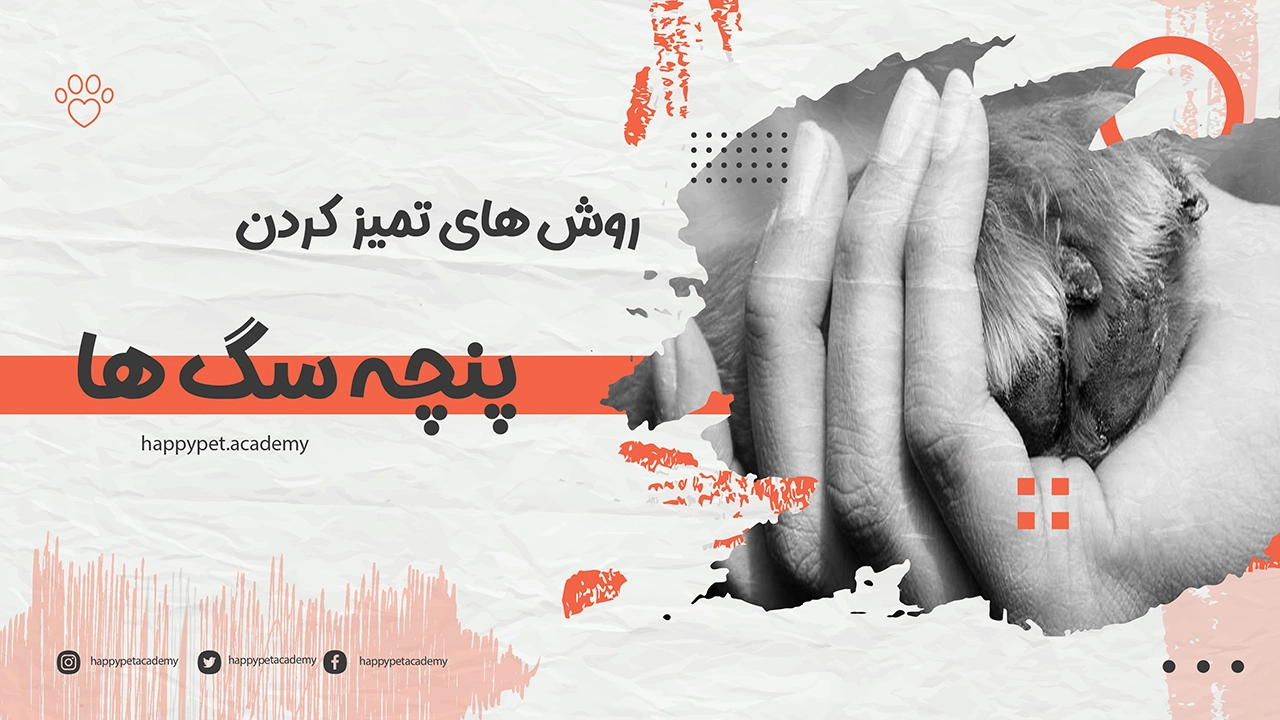 تمیز کردن پنجه سگ