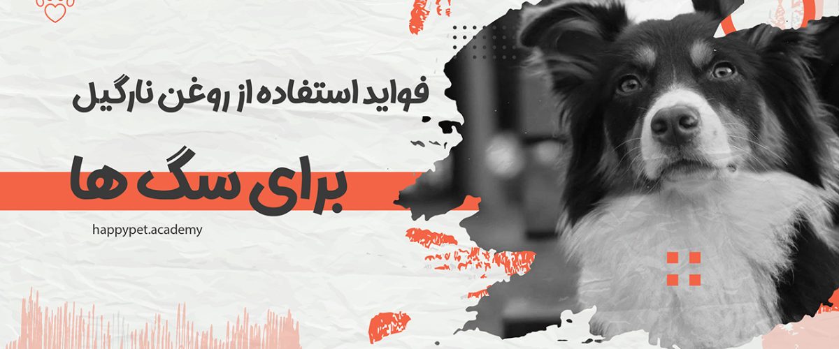 فواید روغن نارگیل برای سگ