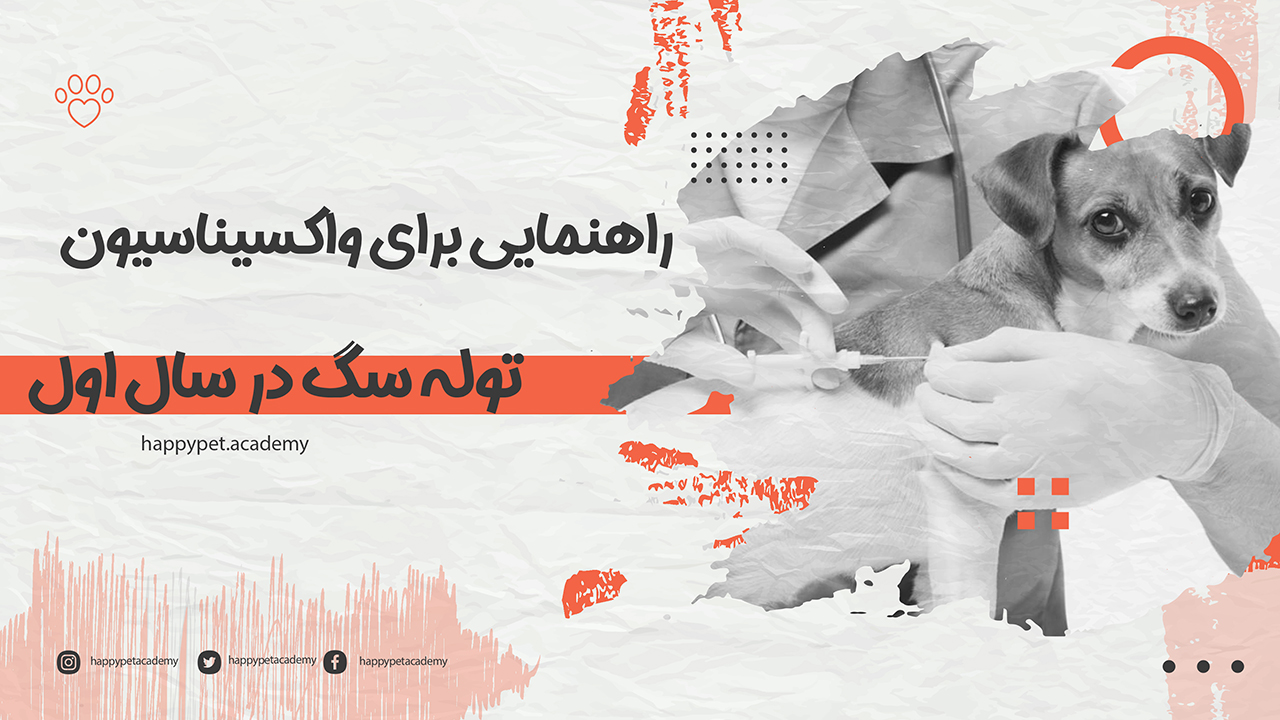 راهنمای کامل جهت واکسیناسیون توله سگ در سال اول 1 واکسیناسیون-توله-سگ