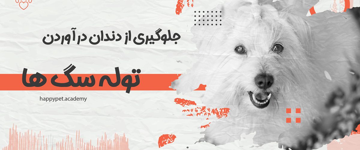 جلوگیری از دندان درآوردن سگ