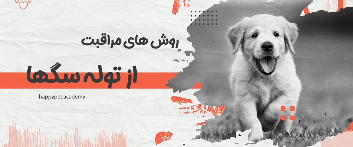 روش مراقبت از توله سگها