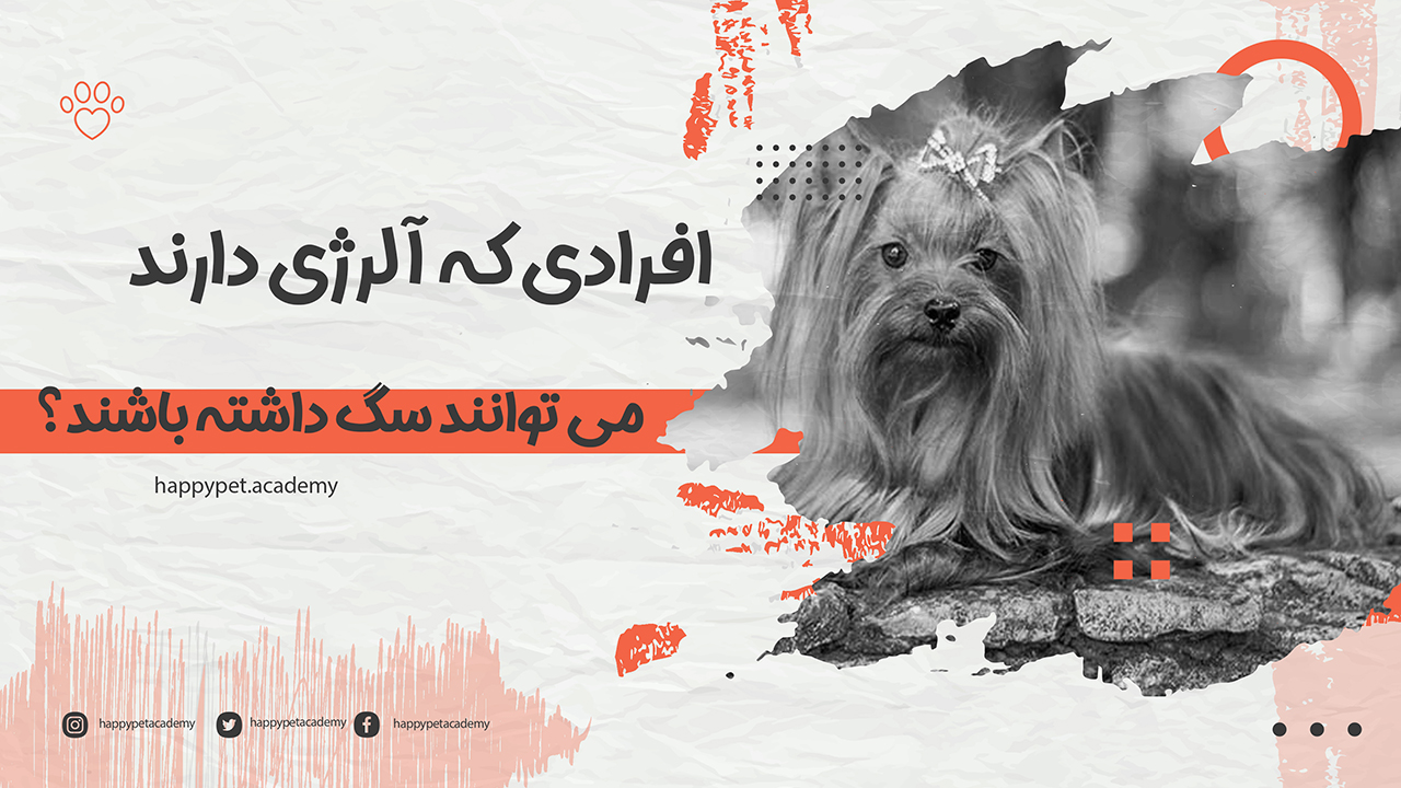 آلرژی به سگ