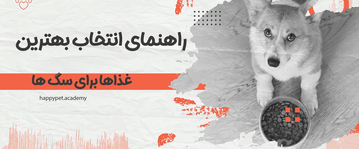 بهترین غذای سگ