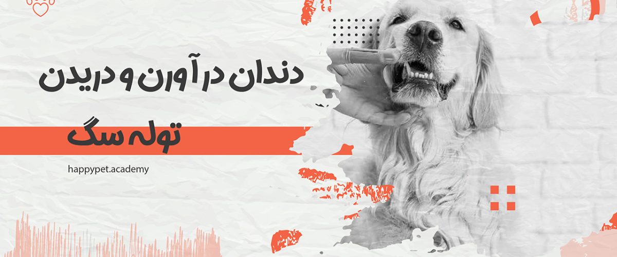 دندن در آوردن توله سگ