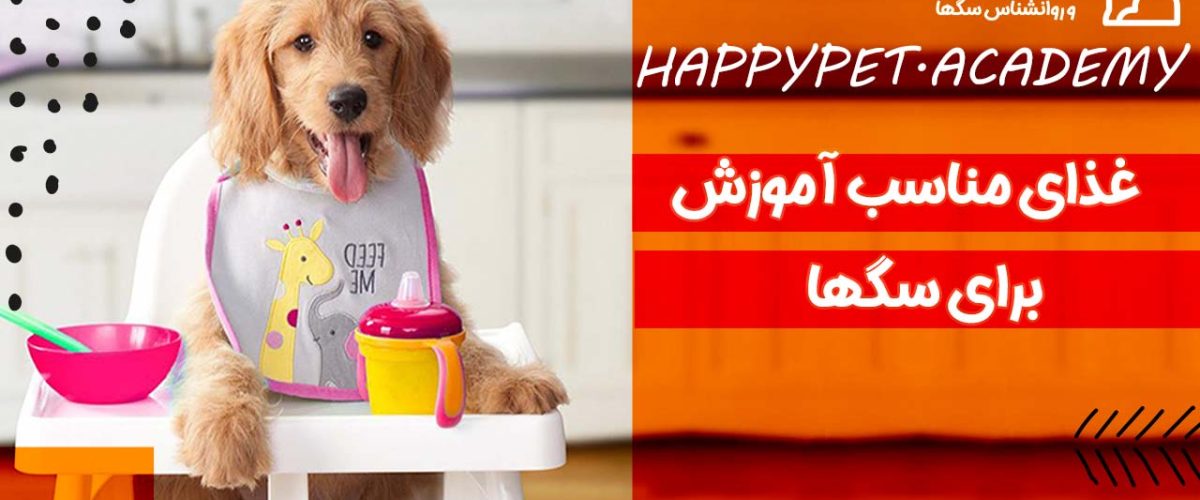 غذای مناسب آموزش سگ