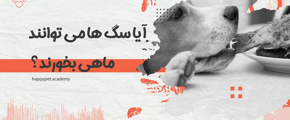 تغذیه سگ با ماهی