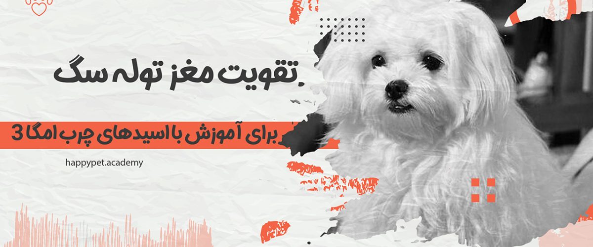 تقویت مغز توله سگ