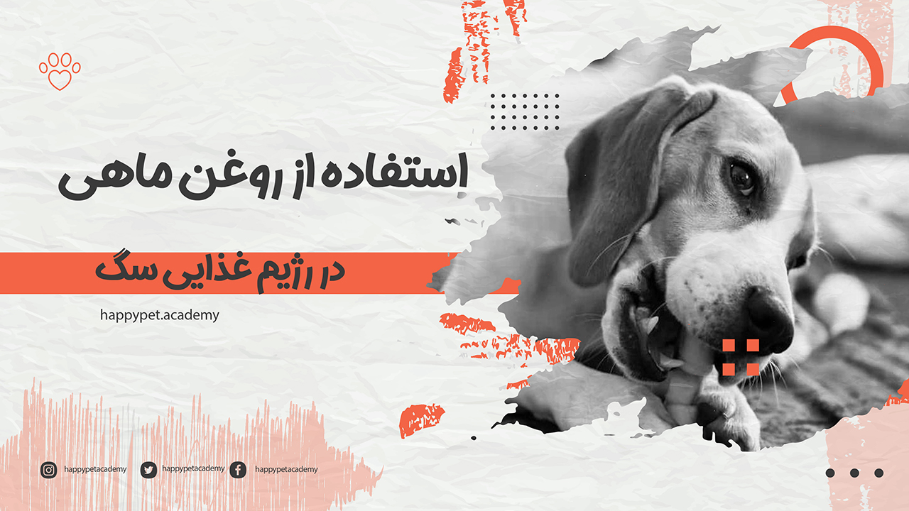 روغن ماهی برای سگ