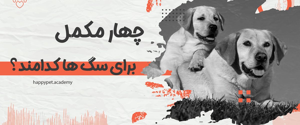 چهار مکمل محبوب سگ
