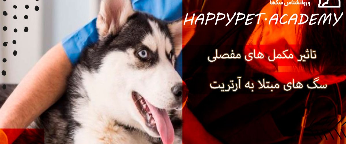 سگ مبتلا به آرتریت