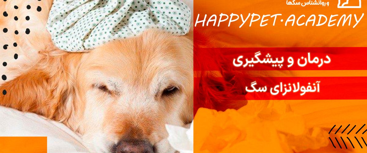 آنفولانزای سگ