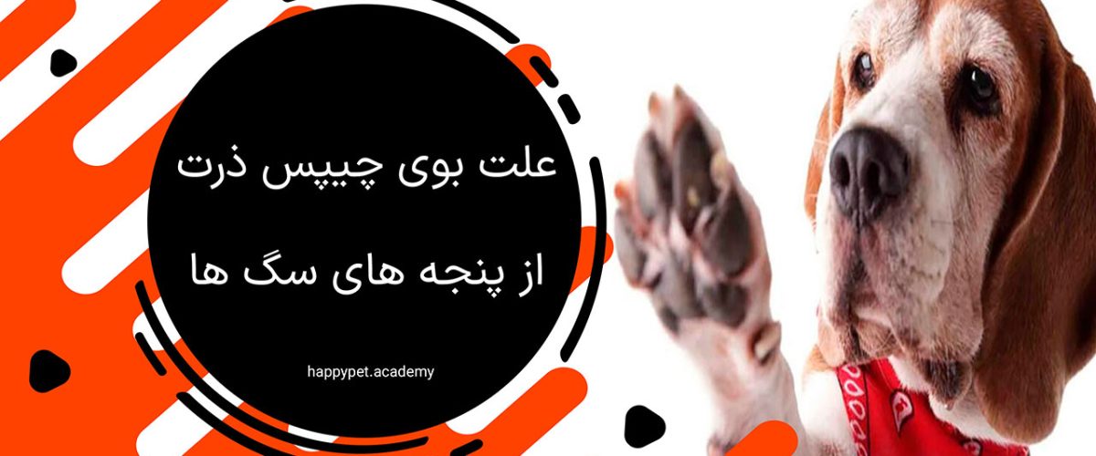 بوی پنجه سگ