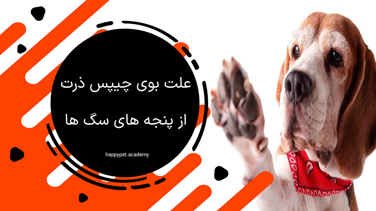 بوی پنجه سگ