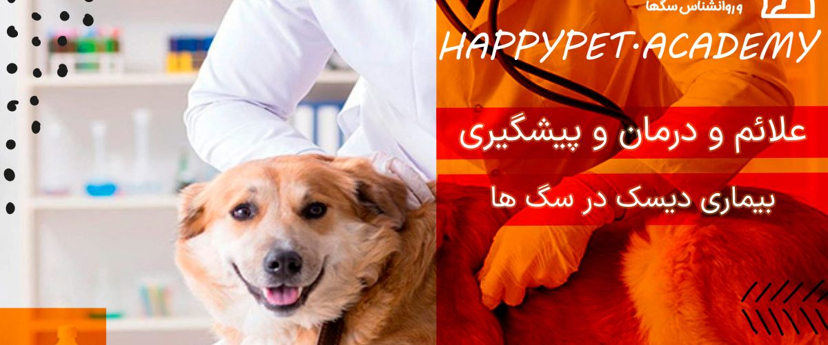 بیماری دیسک سگ