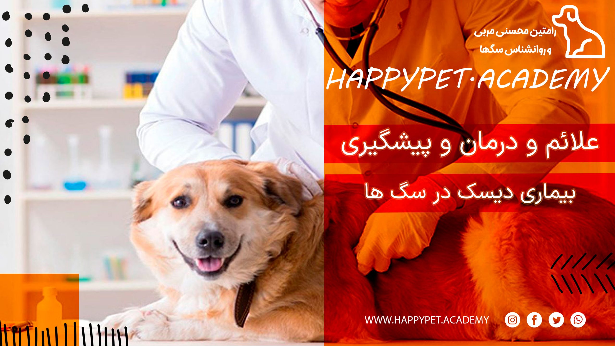 بیماری دیسک سگ