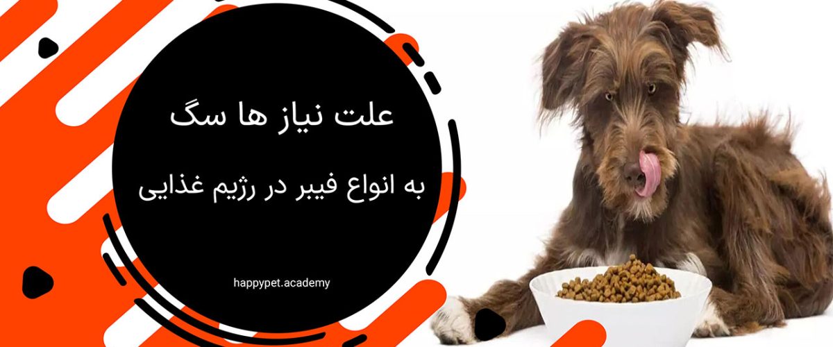 فیبر سگ ها