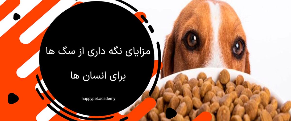 مزایای نگهداری از سگ