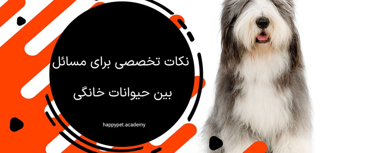 مسائل بین حیوانات خانگی