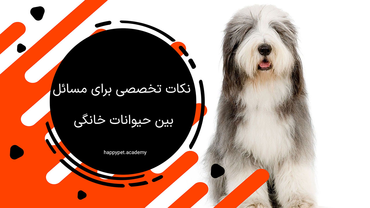 مسائل بین حیوانات خانگی