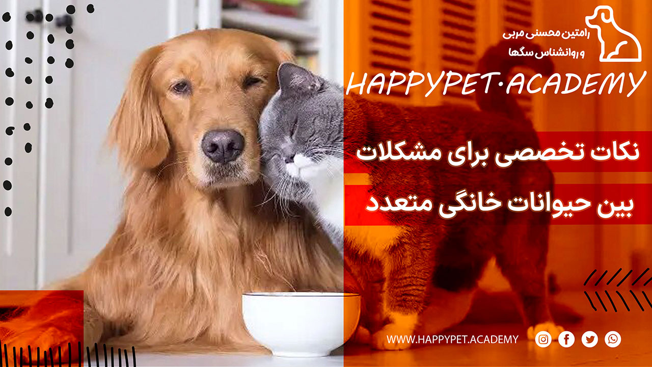 مشکلات حیوانات خانگی متعدد