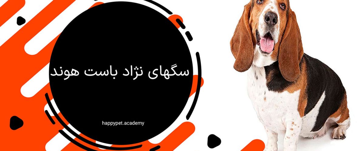 نژاد باست هوند