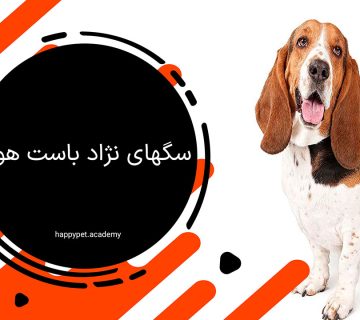 نژاد باست هوند