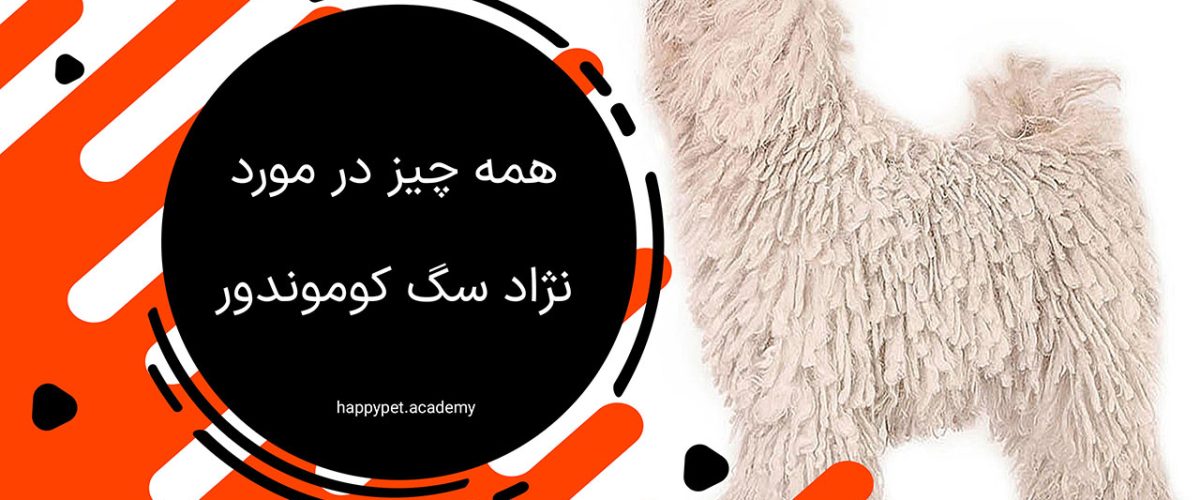 نژاد سگ کوموندور