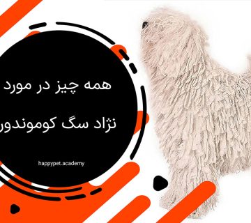 نژاد سگ کوموندور