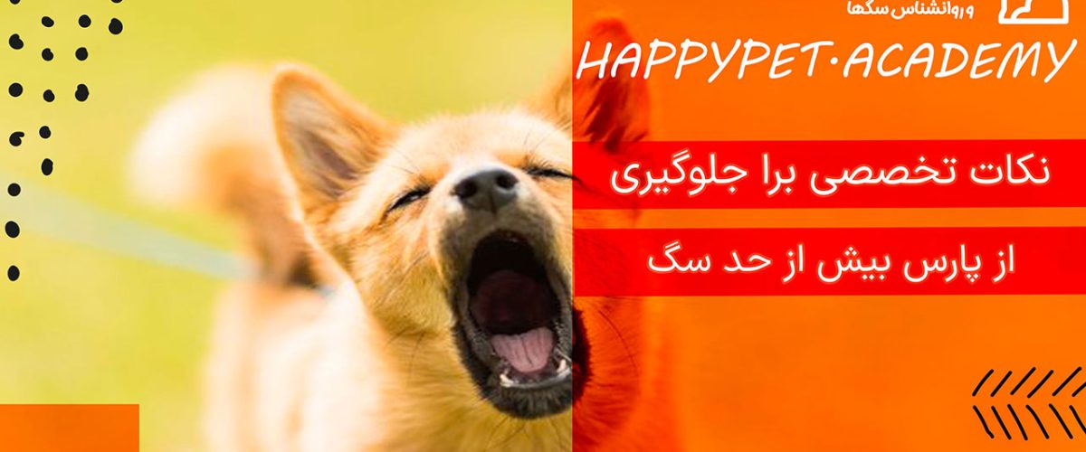 پارس بیش از حد سگ