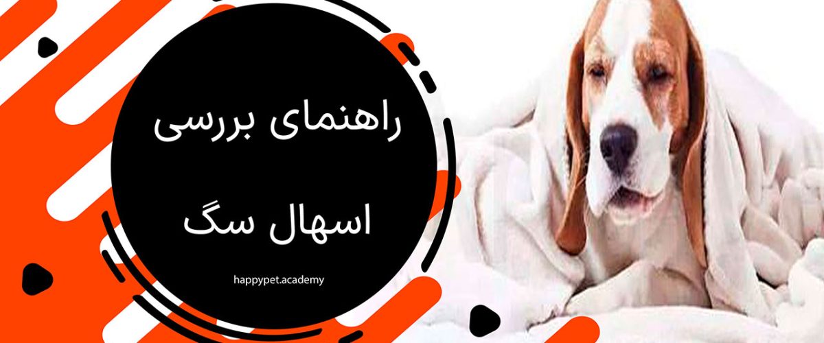 اسهال سگ