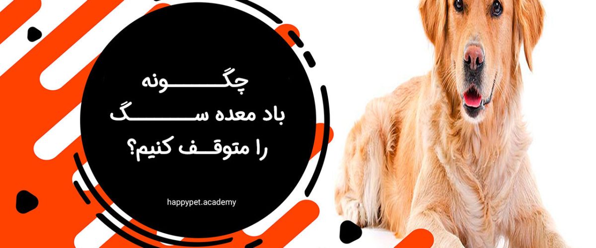 گوز سگ 3 1 1200x500