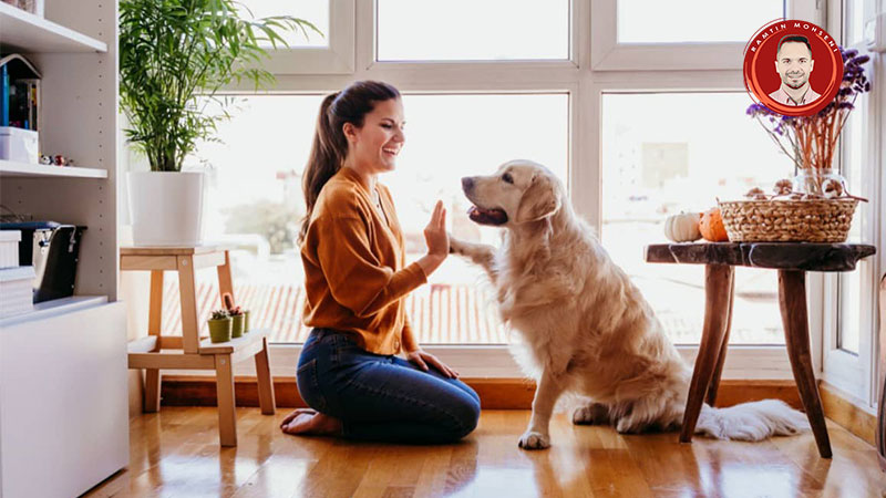 شرایط نگهداری سگ در آپارتمان