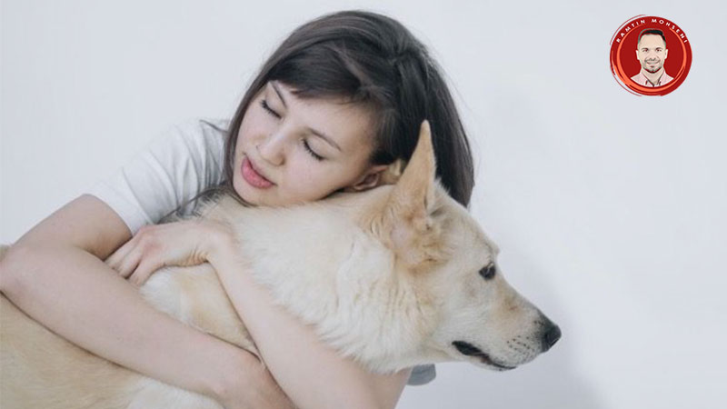 درمان بوی بد دهان سگ