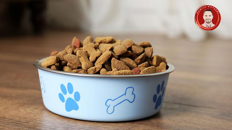 جایگزین بیسکوییت برای سگ