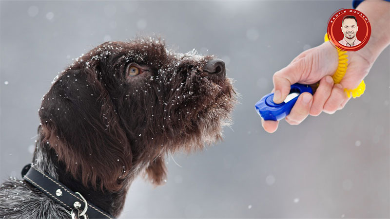 کلیکر آموزشی سگ چیست؟