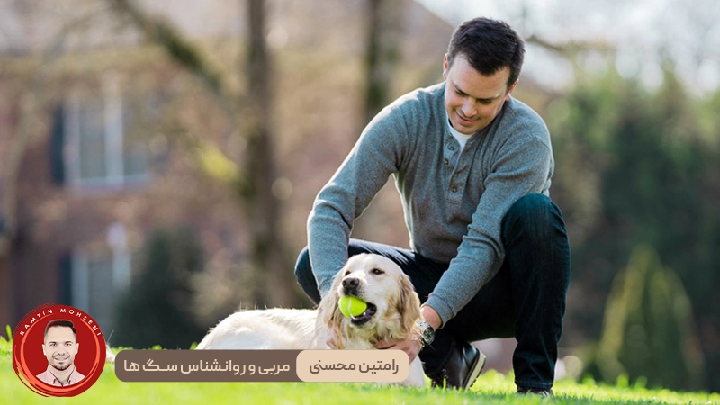 اجتماعی کردن توله سگ : چرا، چه زمانی و چگونه آن را به درستی انجام دهیم