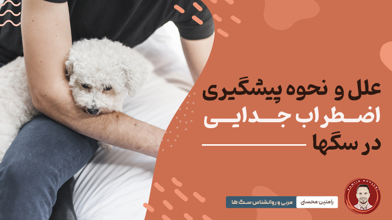 اضطراب جدایی در سگ‌ ها: علل، پیشگیری و نحوه‌ی حل آن