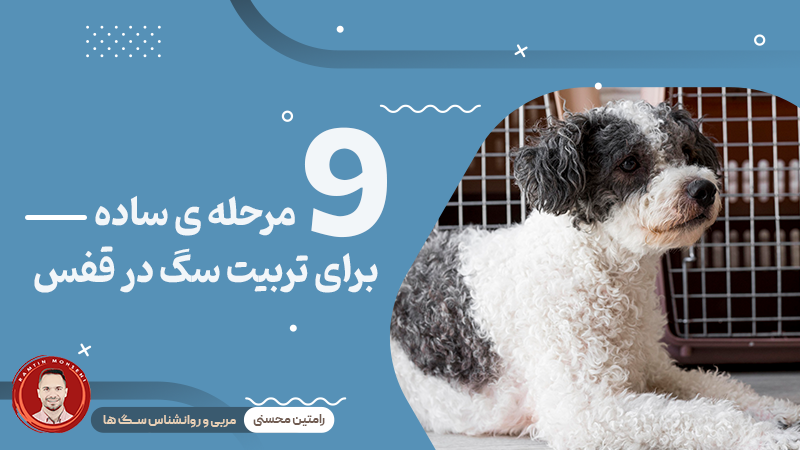 تربیت سگ در قفس : 9 مرحله ساده برای آموزش مؤثر