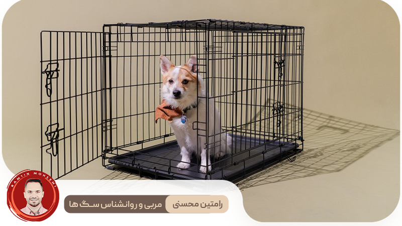 تربیت سگ در قفس : 9 مرحله ساده برای آموزش مؤثر