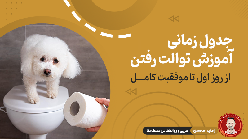 جدول زمانی آموزش توالت رفتن به توله سگ: از روز اول تا موفقیت کامل