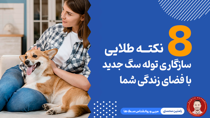 ۸ نکته طلایی برای سازگاری توله‌سگ جدید با فضای زندگی شما