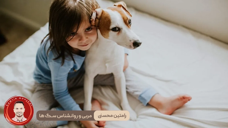 ۸ نکته طلایی برای سازگاری توله‌سگ جدید با فضای زندگی شما