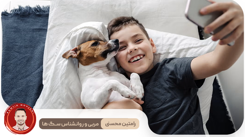 ۸ نکته طلایی برای سازگاری توله‌سگ جدید با فضای زندگی شما