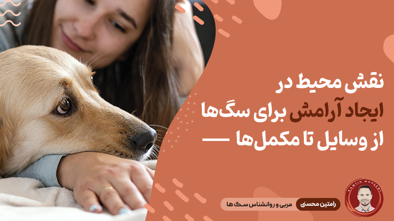 نقش محیط در ایجاد آرامش برای سگ‌