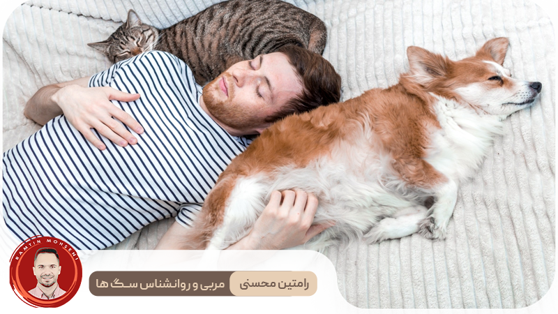 سگ خود را بهتر بشناسید : راه‌هایی برای پیوند محکم‌تر